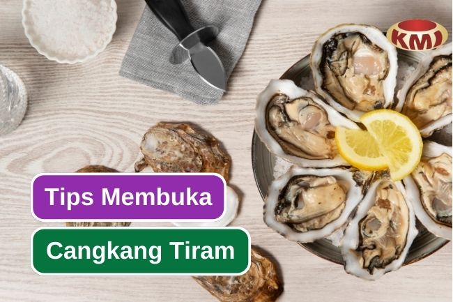 Cara Membuka Cangkang Tiram dengan Benar